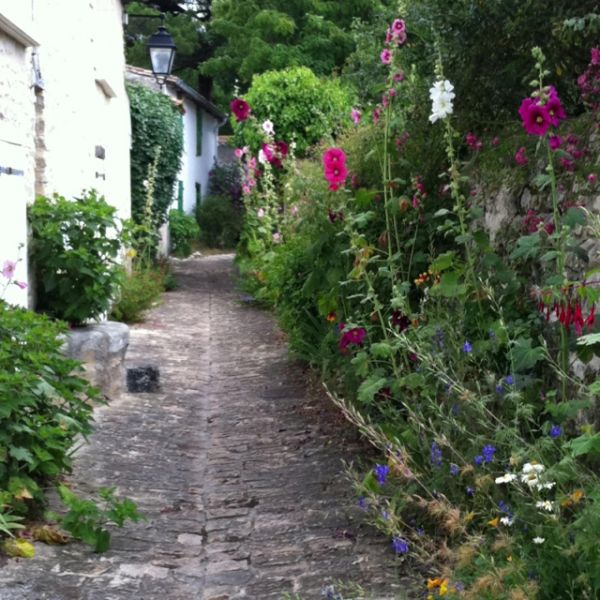 Photo 14 : NC d'une maison située à La Flotte-en-Ré, île de Ré.