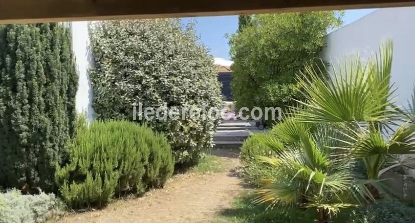 Photo 12 : JARDIN d'une maison située à Les Portes-en-Ré, île de Ré.