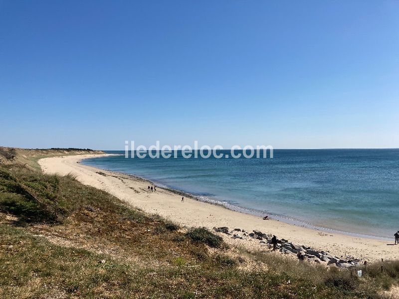 Photo 23 : AUTRE d'une maison située à Saint-Martin, île de Ré.