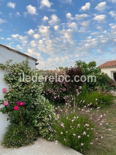 Photo 36 : EXTERIEUR d'une maison située à Le Bois-Plage-en-Ré, île de Ré.