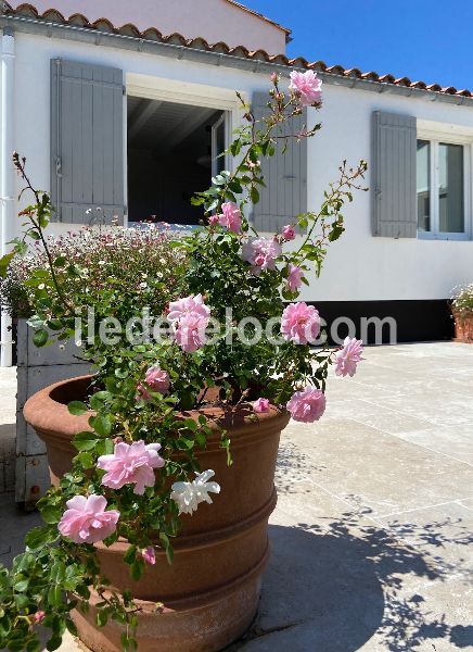 Photo 38 : TERRASSE d'une maison située à Le Bois-Plage-en-Ré, île de Ré.