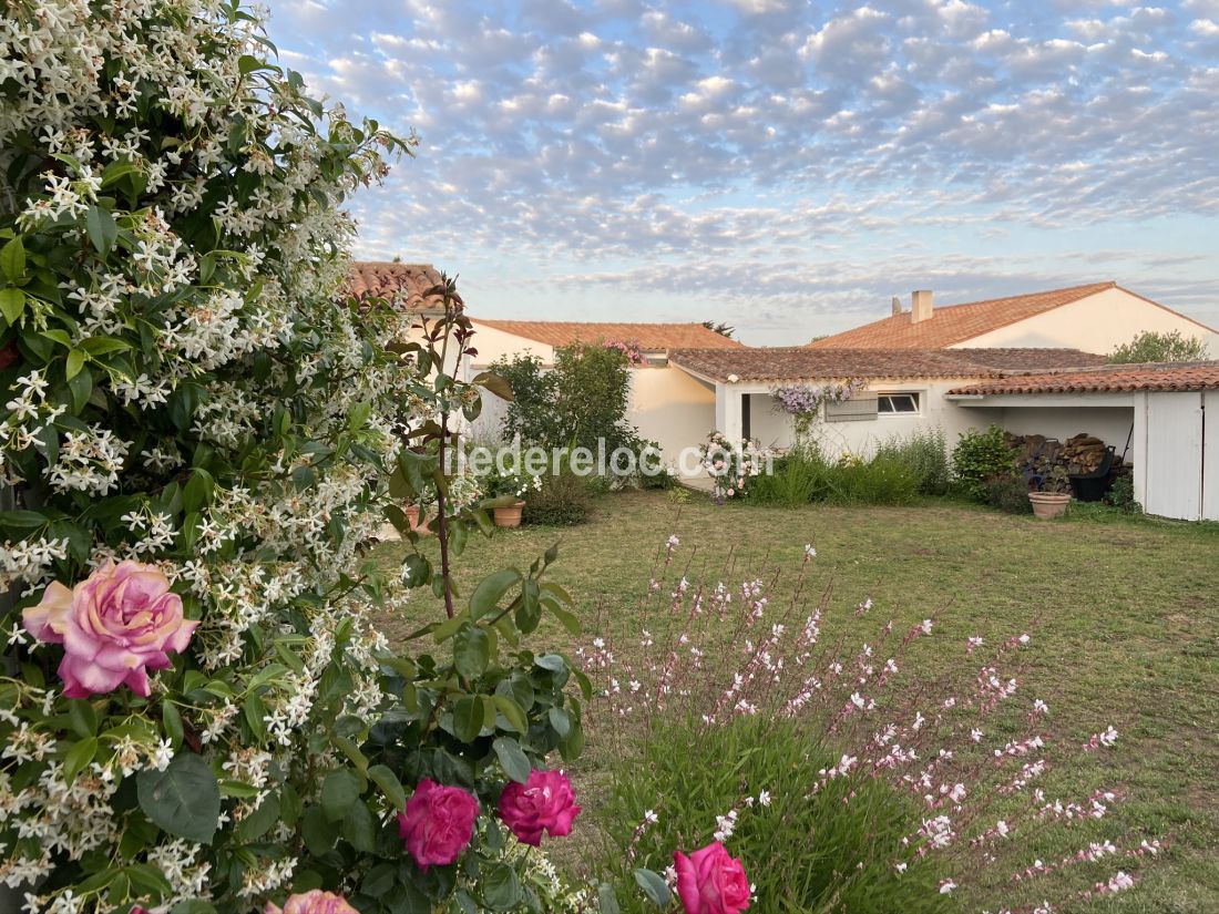 Photo 48 : JARDIN d'une maison situ&eacute;e &agrave; Le Bois-Plage-en-R&eacute;, &icirc;le de R&eacute;.