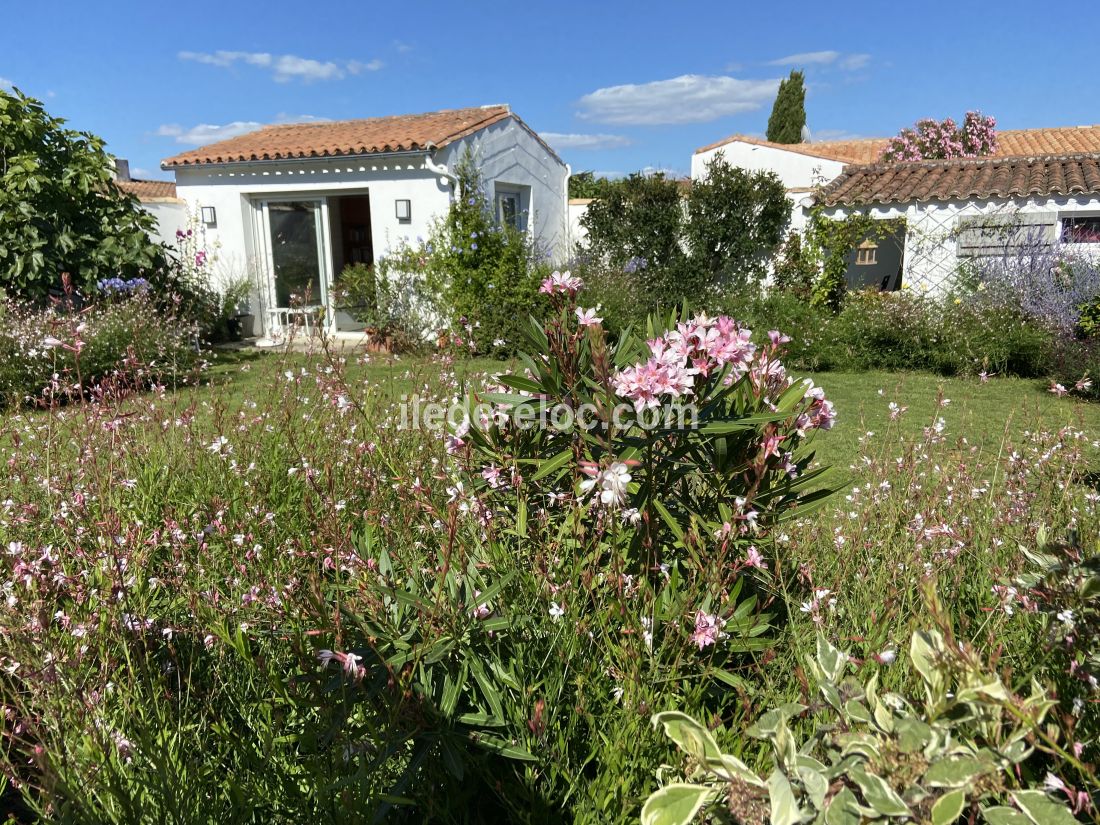 Photo 51 : JARDIN d'une maison situ&eacute;e &agrave; Le Bois-Plage-en-R&eacute;, &icirc;le de R&eacute;.