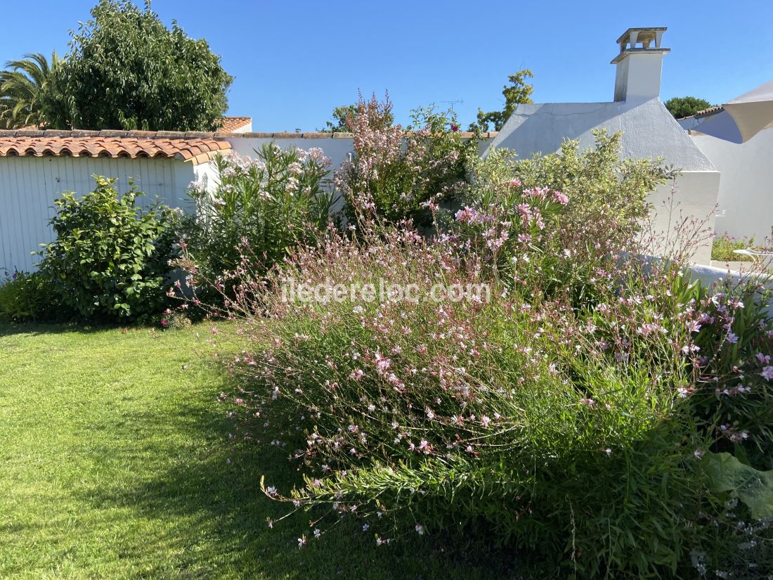 Photo 52 : JARDIN d'une maison situ&eacute;e &agrave; Le Bois-Plage-en-R&eacute;, &icirc;le de R&eacute;.
