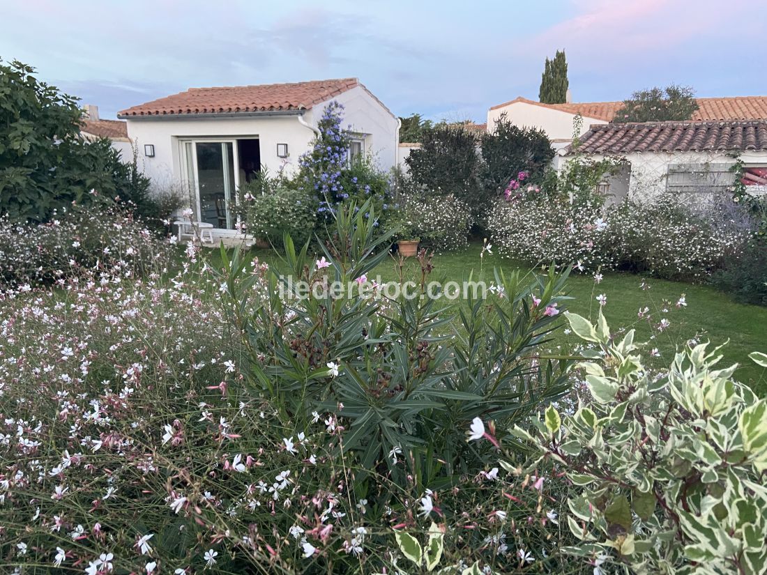 Photo 56 : JARDIN d'une maison situ&eacute;e &agrave; Le Bois-Plage-en-R&eacute;, &icirc;le de R&eacute;.