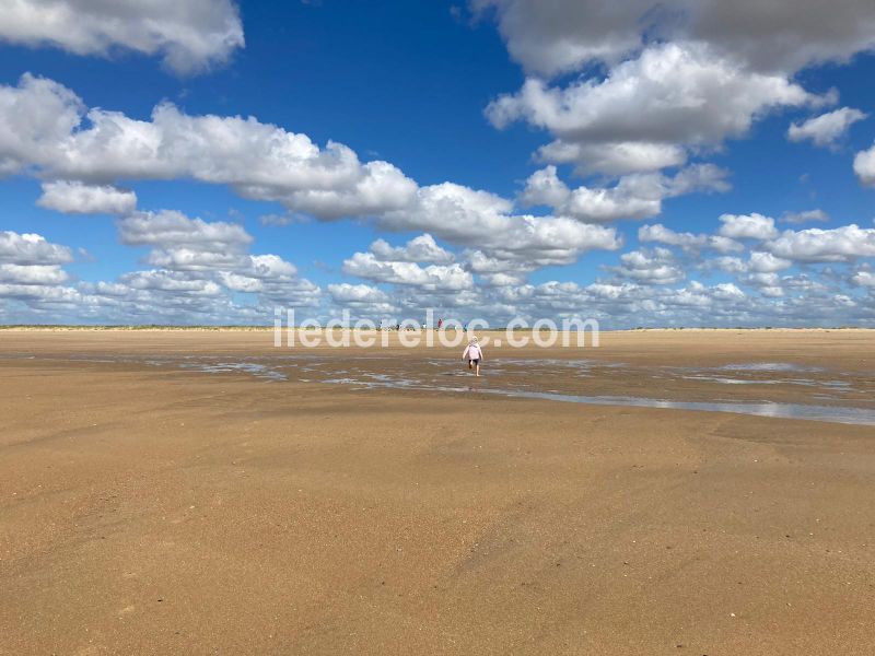 Photo 17 : NC d'une maison située à La Flotte, île de Ré.