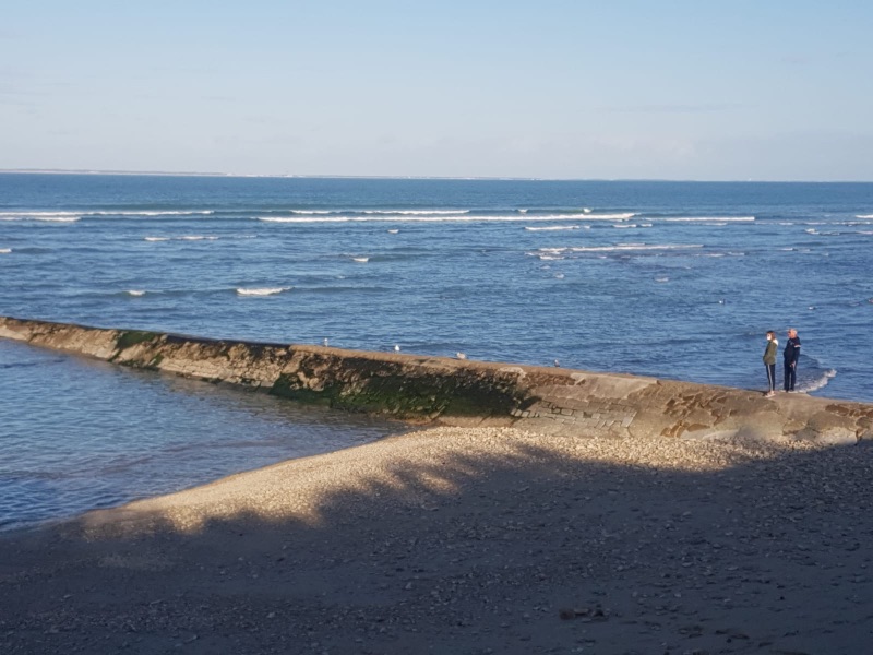 Photo 31 : NC d'une maison située à Sainte-Marie-de-Ré, île de Ré.