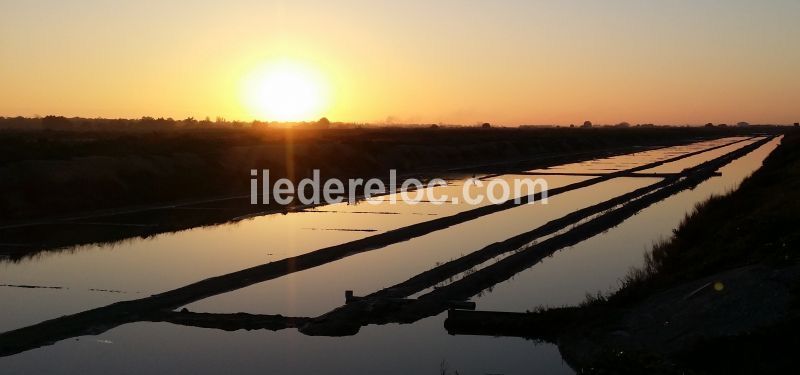 Photo 44 : EXTERIEUR d'une maison située à La Couarde-sur-mer, île de Ré.