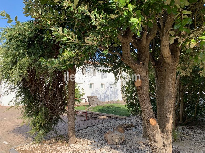 Photo 33 : EXTERIEUR d'une maison située à La Couarde-sur-mer, île de Ré.