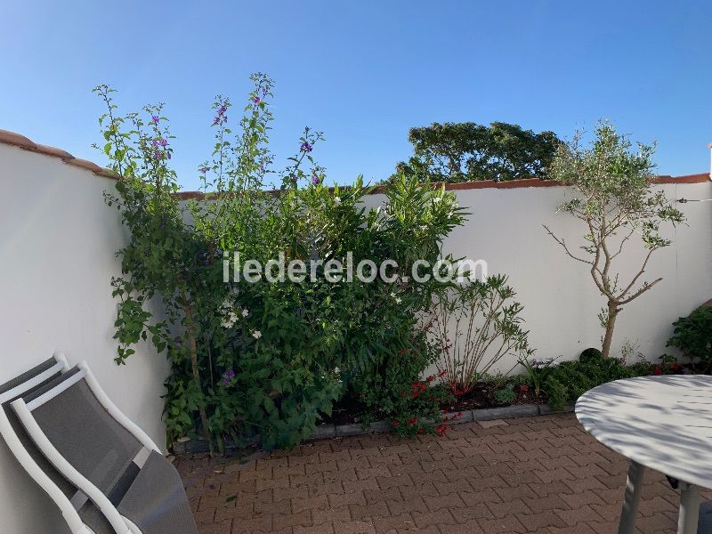 Photo 19 : JARDIN d'une maison située à La Couarde-sur-mer, île de Ré.