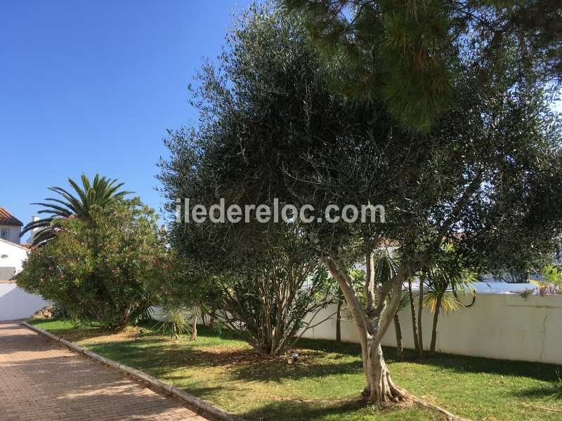 Photo 22 : EXTERIEUR d'une maison située à La Couarde-sur-mer, île de Ré.