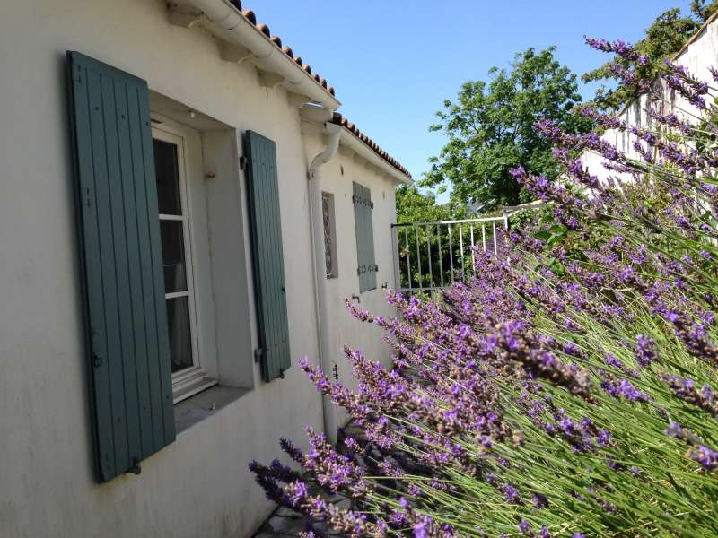 Photo 15 : EXTERIEUR d'une maison située à Rivedoux, île de Ré.