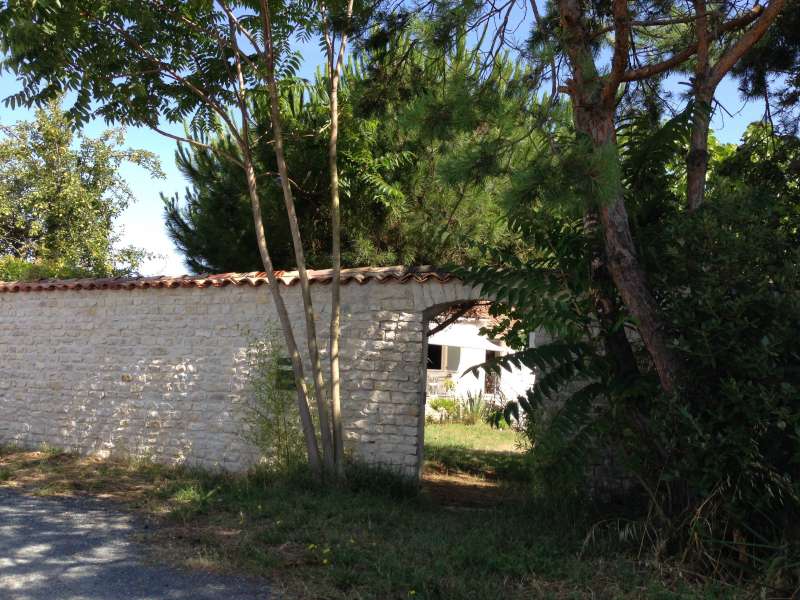 Photo 17 : EXTERIEUR d'une maison située à Rivedoux, île de Ré.