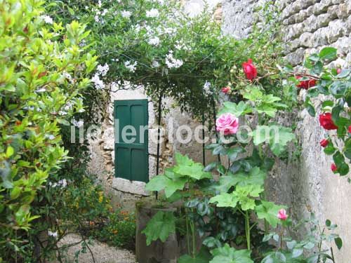 Photo 2 : EXTERIEUR d'une maison située à Loix, île de Ré.