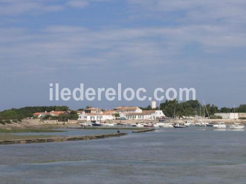 Photo 9 :  d'une maison située à Loix, île de Ré.