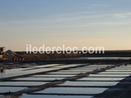 Photo 10 :  d'une maison située à Loix, île de Ré.