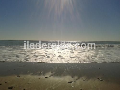 Photo 21 : NC d'une maison située à La Couarde-sur-mer, île de Ré.