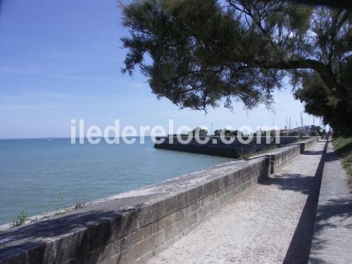 Photo 10 : AUTRE d'une maison située à Saint-Martin-de-Ré, île de Ré.