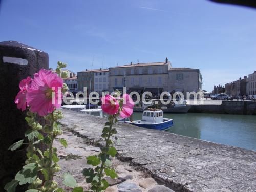 Photo 7 : AUTRE d'une maison située à Saint-Martin-de-Ré, île de Ré.