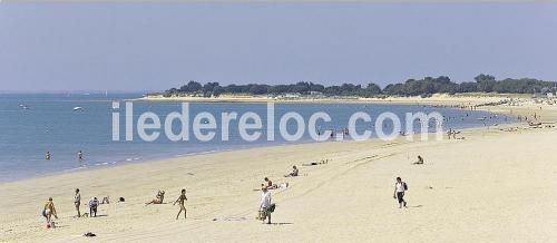 Photo 9 : AUTRE d'une maison située à Rivedoux-Plage, île de Ré.