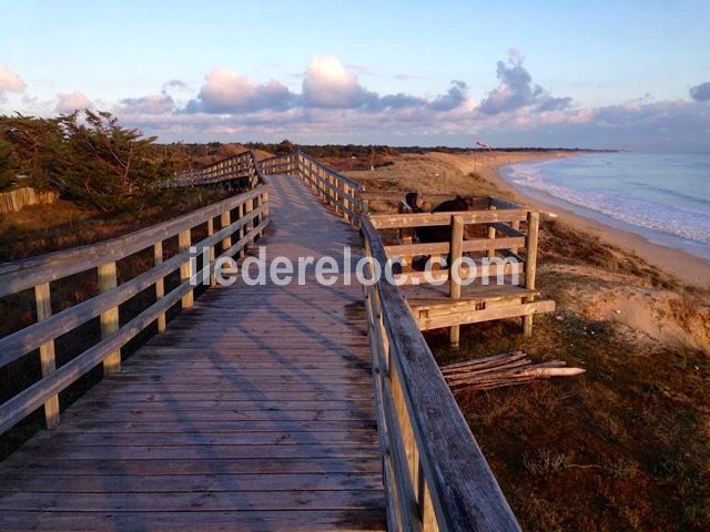 Photo 20 : AUTRE d'une maison située à Le Bois-Plage-en-Ré, île de Ré.