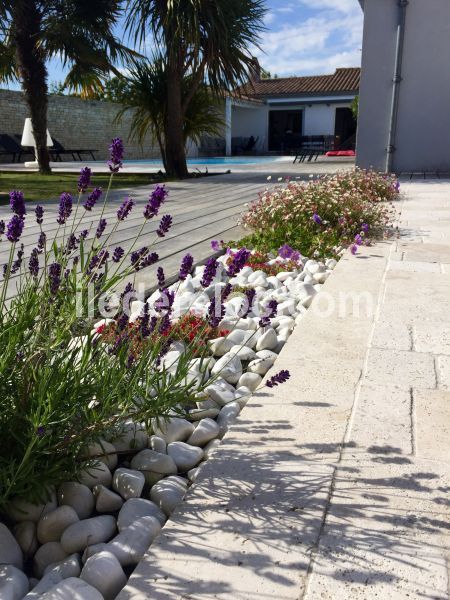 Photo 27 : TERRASSE d'une maison située à Le Bois-Plage-en-Ré, île de Ré.