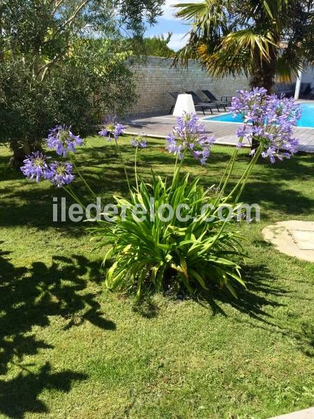 Photo 30 : NC d'une maison située à Le Bois-Plage-en-Ré, île de Ré.