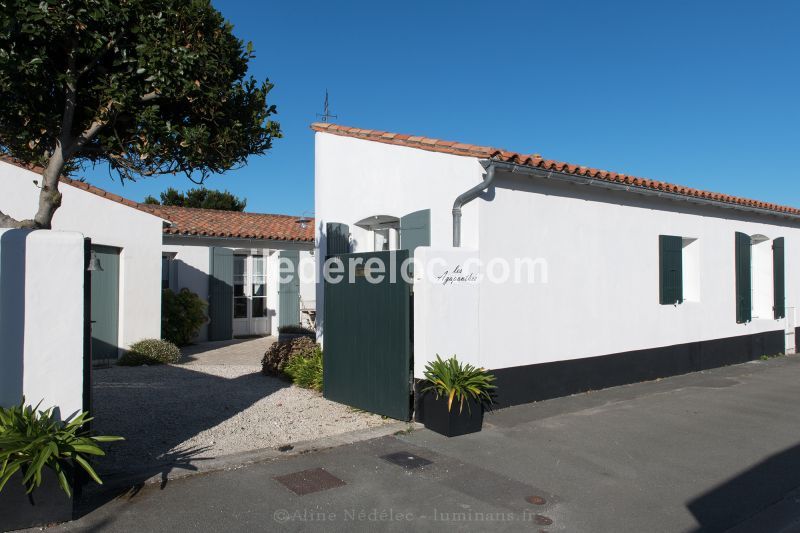 Photo 24 : EXTERIEUR d'une maison située à Saint-Clément-des-Baleines, île de Ré.