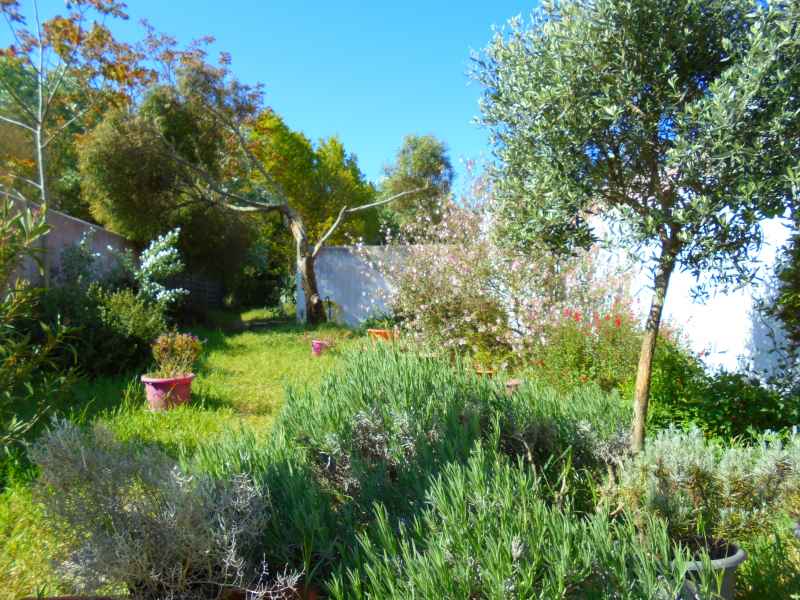 Photo 3 : NC d'une maison située à La Couarde, île de Ré.