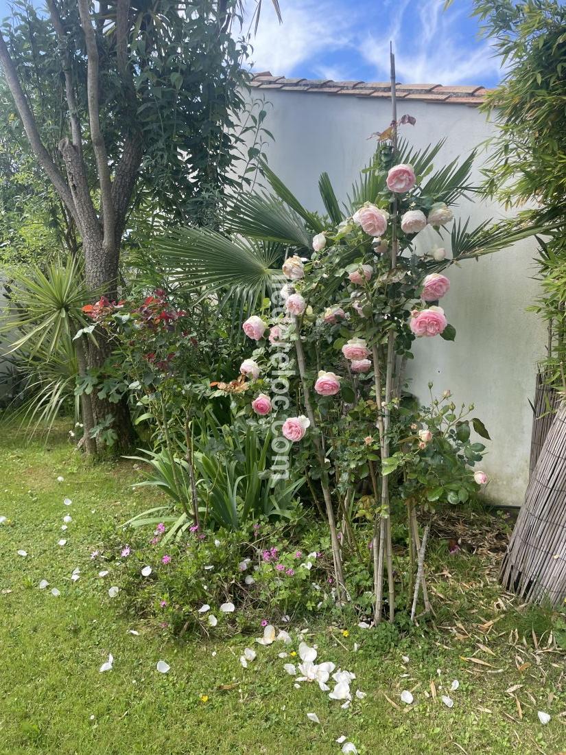 Photo 18 : JARDIN d'une maison située à Sainte-Marie-de-Ré, île de Ré.