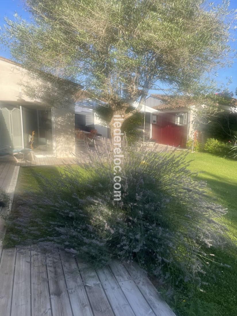 Photo 8 : JARDIN d'une maison située à Sainte-Marie-de-Ré, île de Ré.