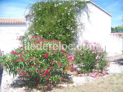 Photo 2 : EXTERIEUR d'une maison située à Les Portes, île de Ré.