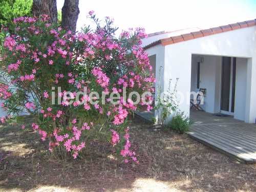 Photo 4 : EXTERIEUR d'une maison située à Les Portes, île de Ré.