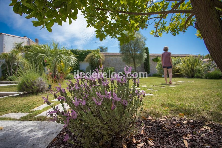 Photo 20 : JARDIN d'une maison située à La Flotte-en-Ré, île de Ré.