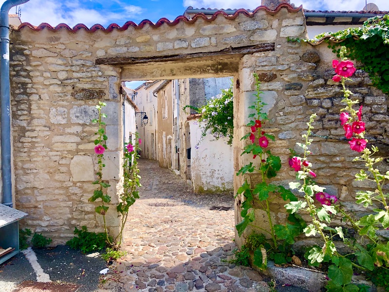 Photo 25 : NC d'une maison située à Saint-Martin-de-Ré, île de Ré.