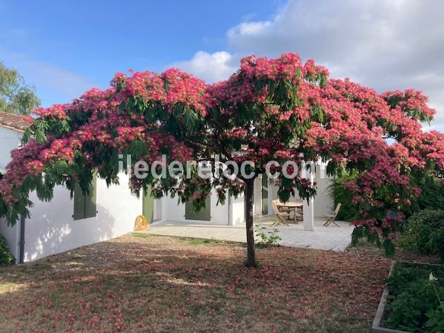 Photo 21 : JARDIN d'une maison située à Sainte-Marie-de-Ré, île de Ré.