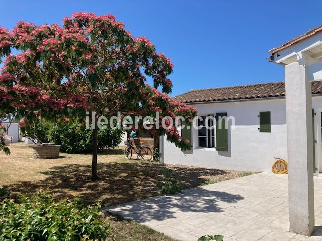 Photo 12 : JARDIN d'une maison située à Sainte-Marie-de-Ré, île de Ré.