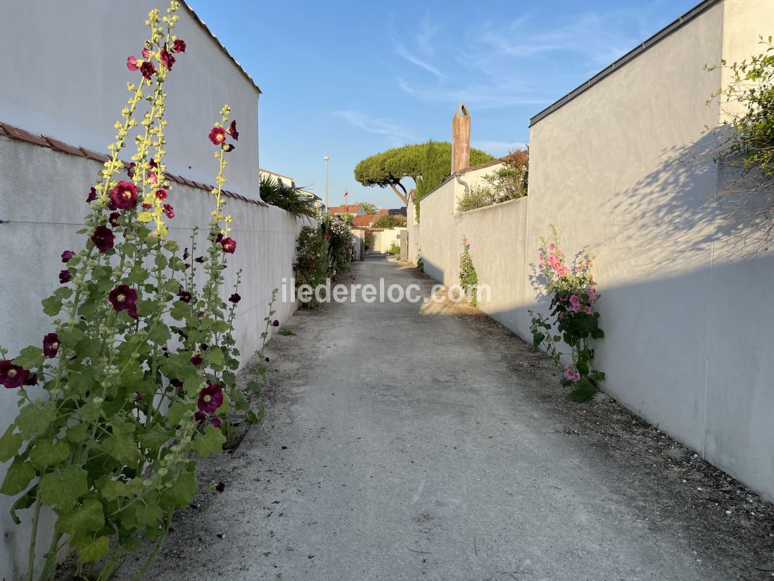 Photo 31 : ENTREE d'une maison située à La Couarde-sur-mer, île de Ré.