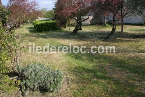 Photo 15 : JARDIN d'une maison située à Loix, île de Ré.