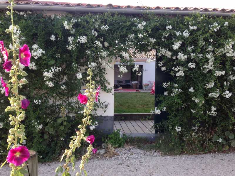 Photo 25 : NC d'une maison située à Sainte-Marie-de-Ré, île de Ré.