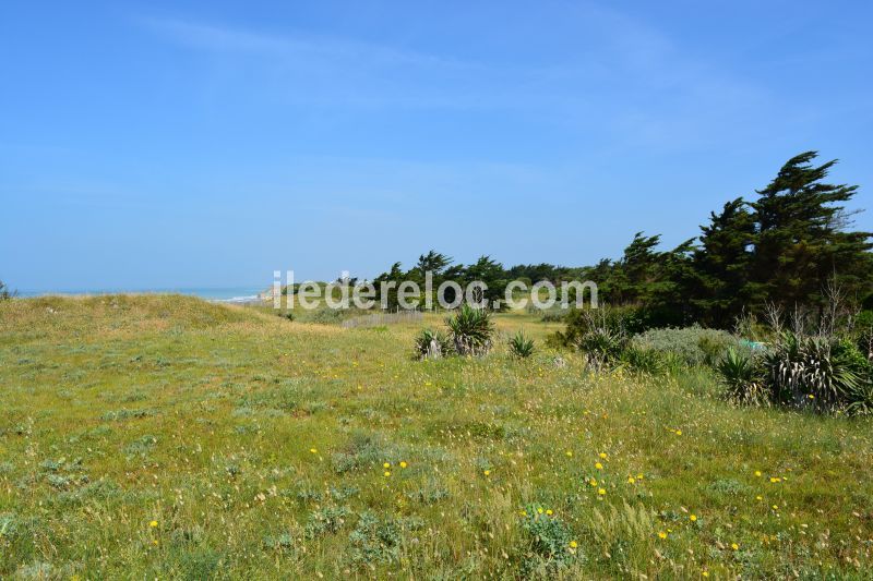 Photo 29 : EXTERIEUR d'une maison située à Sainte-Marie-de-Ré, île de Ré.