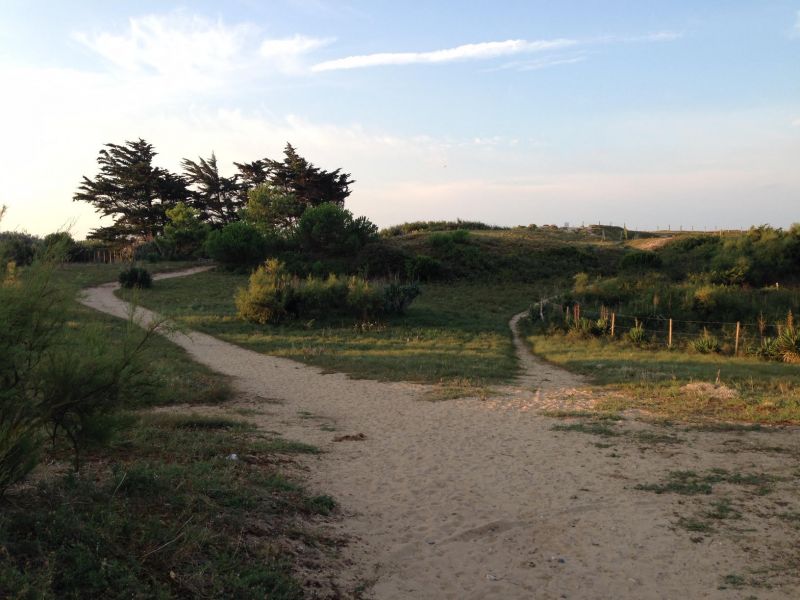 Photo 38 : NC d'une maison située à Le Bois-Plage-en-Ré, île de Ré.