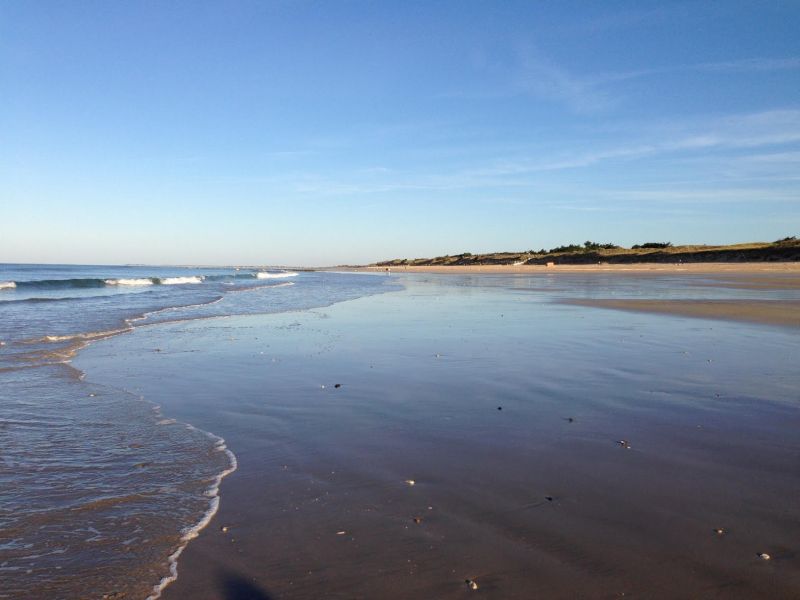 Photo 41 : NC d'une maison située à Le Bois-Plage-en-Ré, île de Ré.