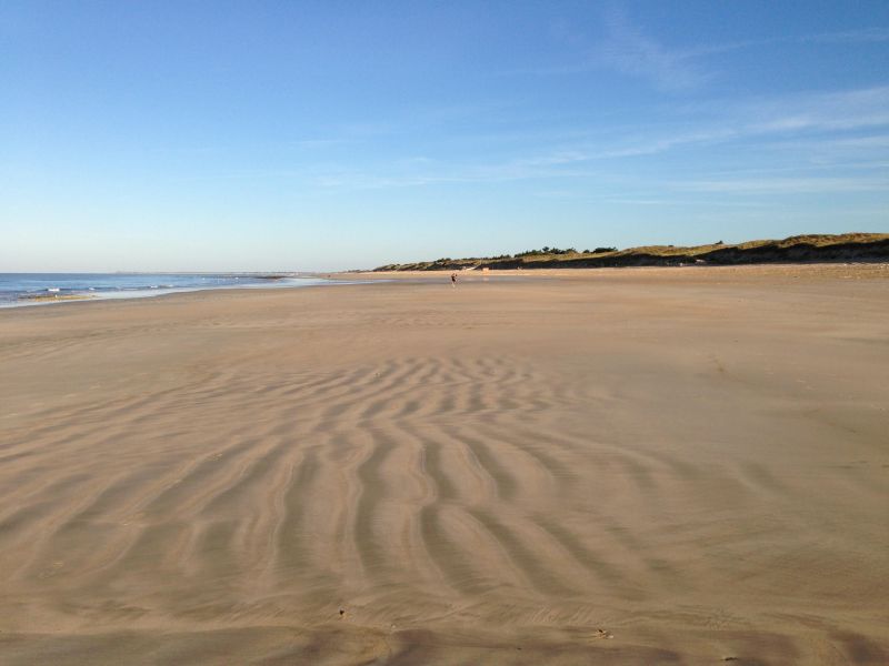 Photo 43 : NC d'une maison située à Le Bois-Plage-en-Ré, île de Ré.