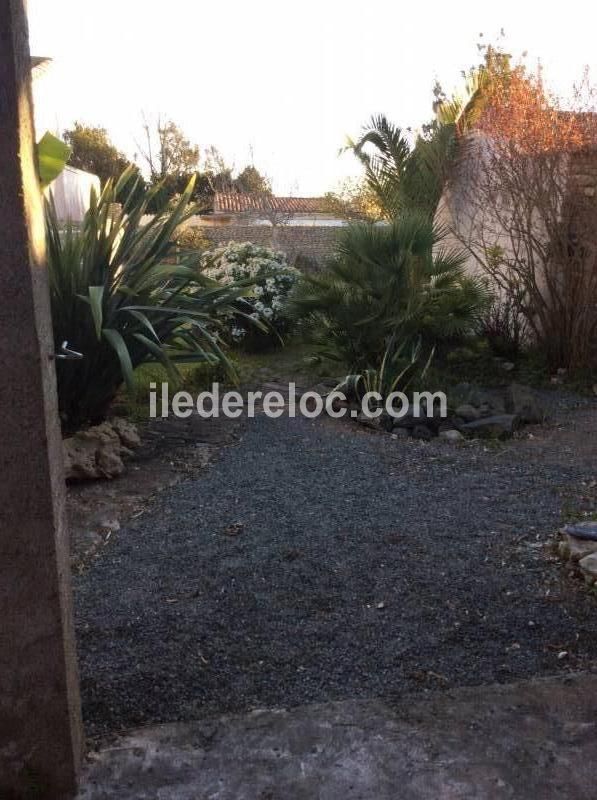 Photo 17 : JARDIN d'une maison située à Loix, île de Ré.