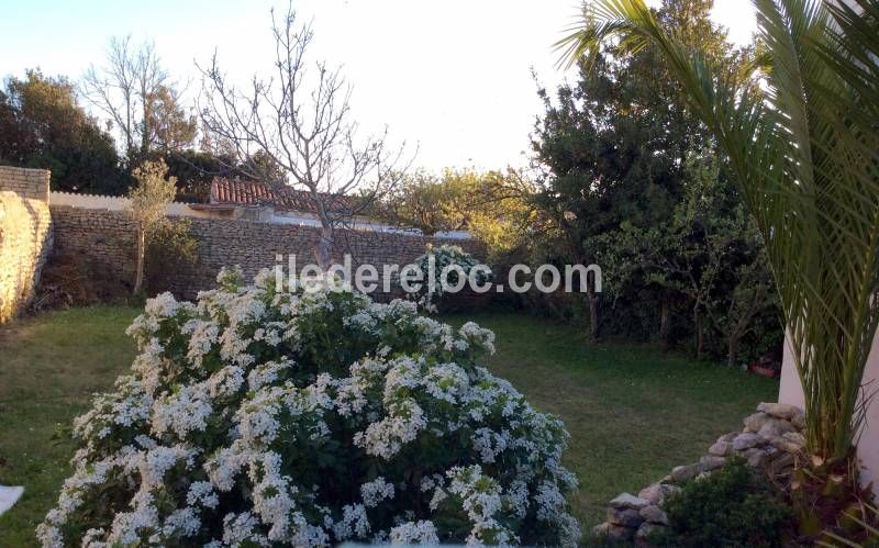 Photo 16 : JARDIN d'une maison située à Loix, île de Ré.