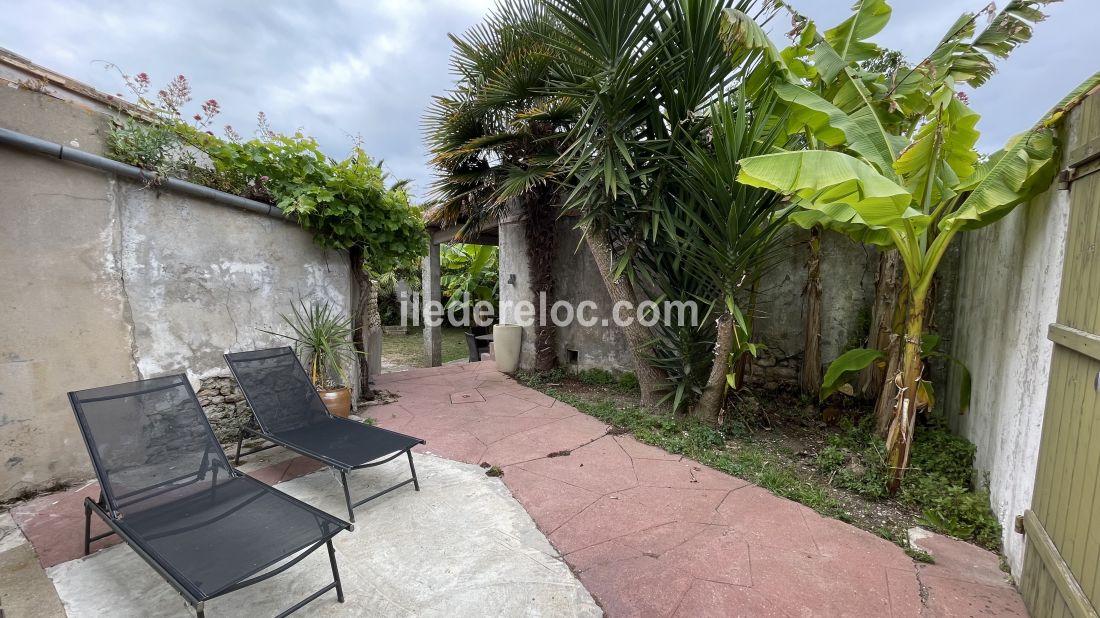 Photo 36 : JARDIN d'une maison située à Loix, île de Ré.