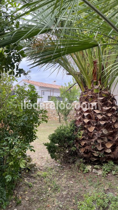Photo 32 : JARDIN d'une maison située à Loix, île de Ré.