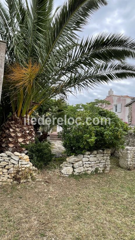 Photo 31 : JARDIN d'une maison située à Loix, île de Ré.