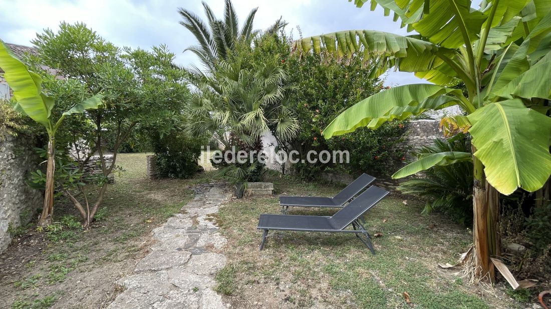 Photo 30 : JARDIN d'une maison située à Loix, île de Ré.